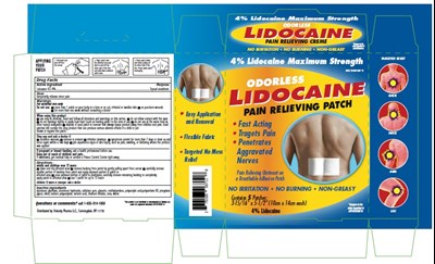 Lidocaine Patch (Lidocaine Patch)